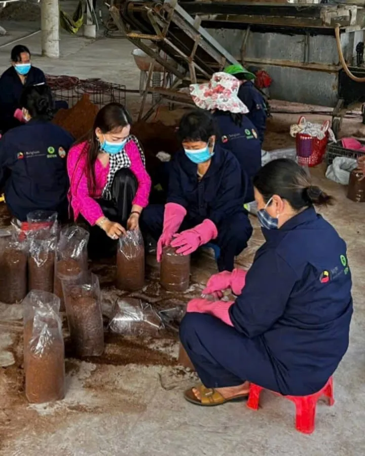Những người làm nấm mặc áo lao động xanh đậm, đeo găng tay hồng, ngồi trên nền xưởng đóng giá thể vào bịch